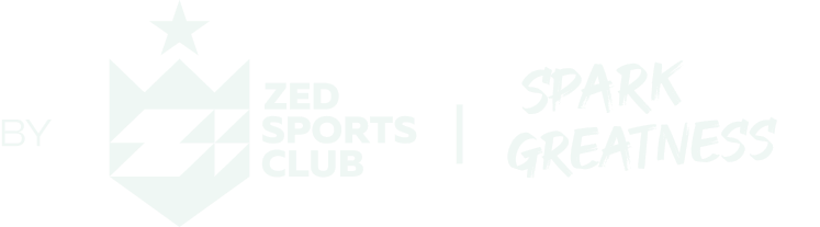 ZED sports logo